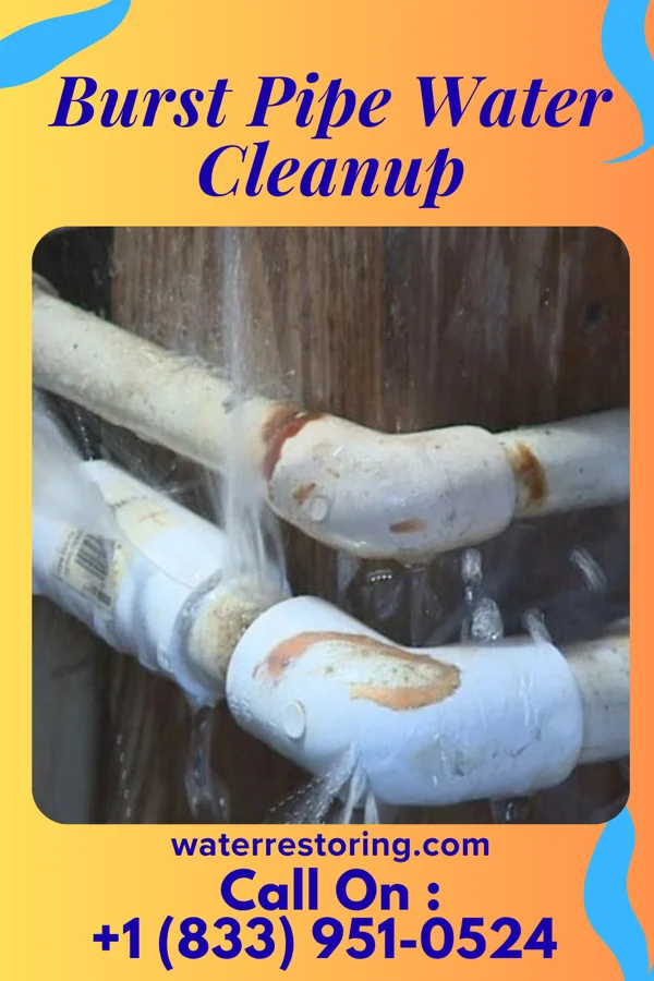 Burst Pipe Water Cleanup in Monroe, IN
