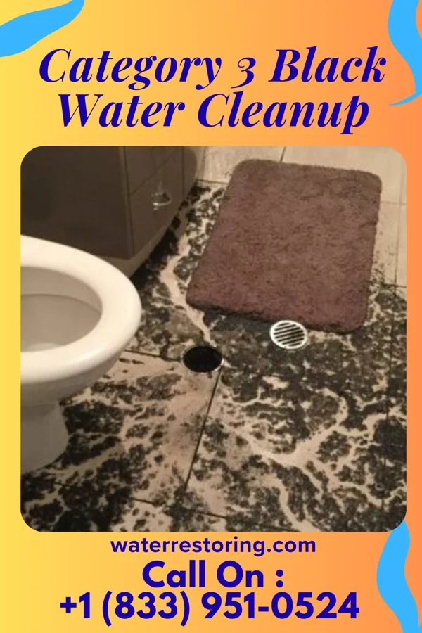 Category 3 Black Water Cleanup in Monroe, IN