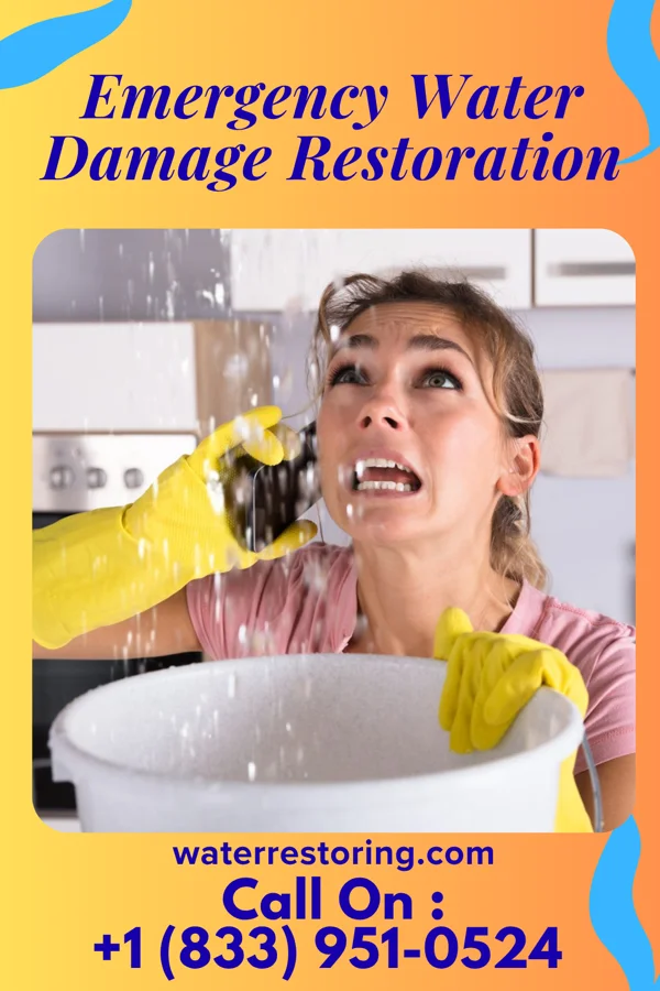Emergency Water Damage Restoration in Monroe, IN